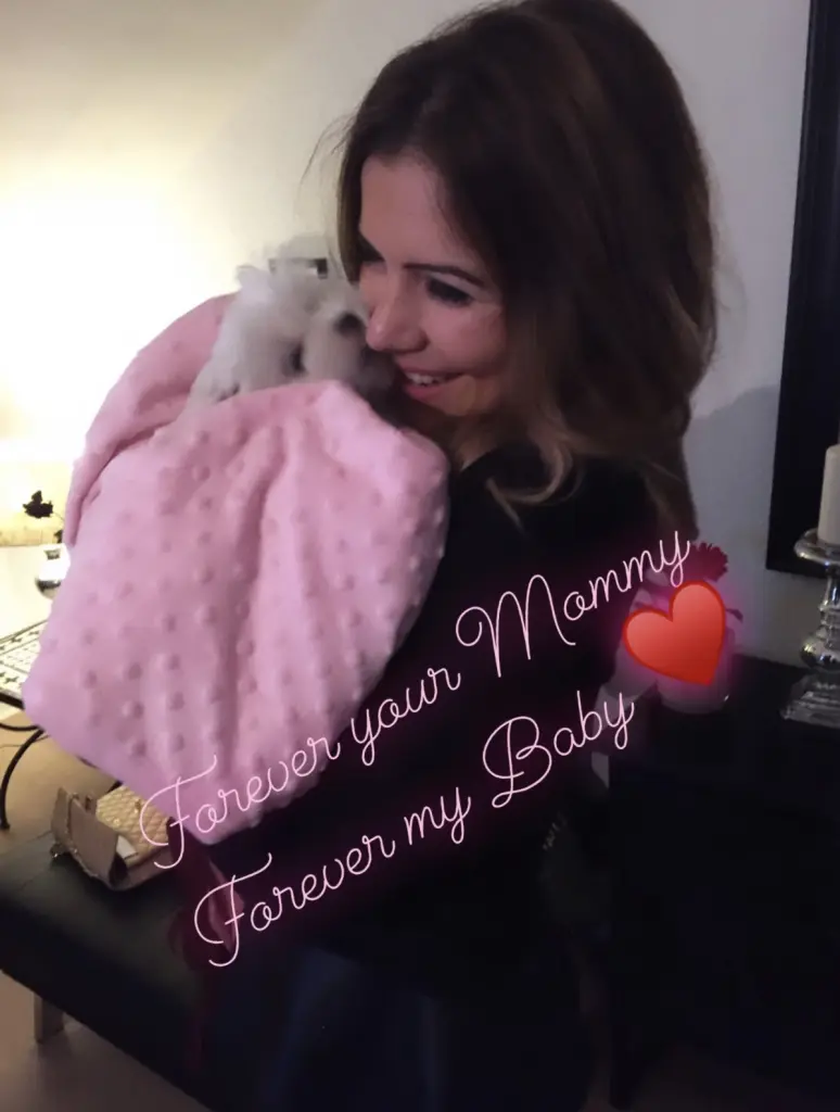 Condolence image of Aylin mit Honey im ♥️