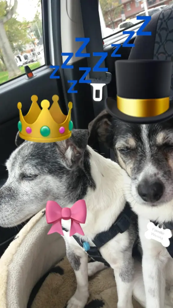 Andachtsbild von Uta