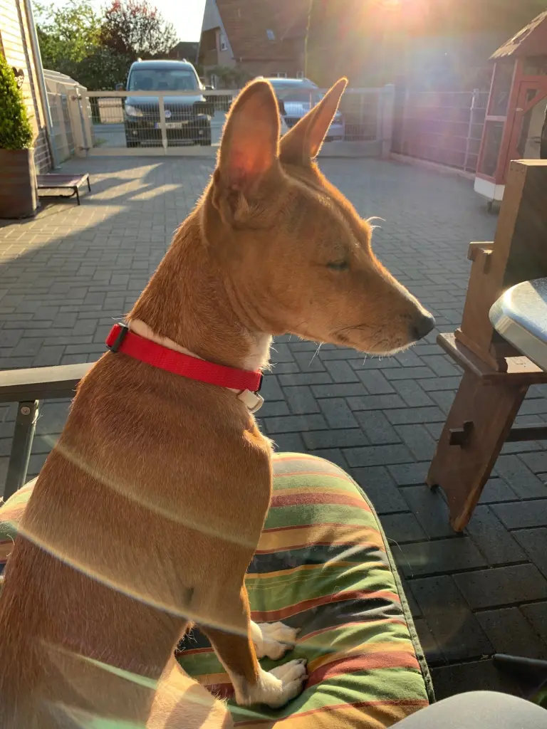 Image from Fadiya