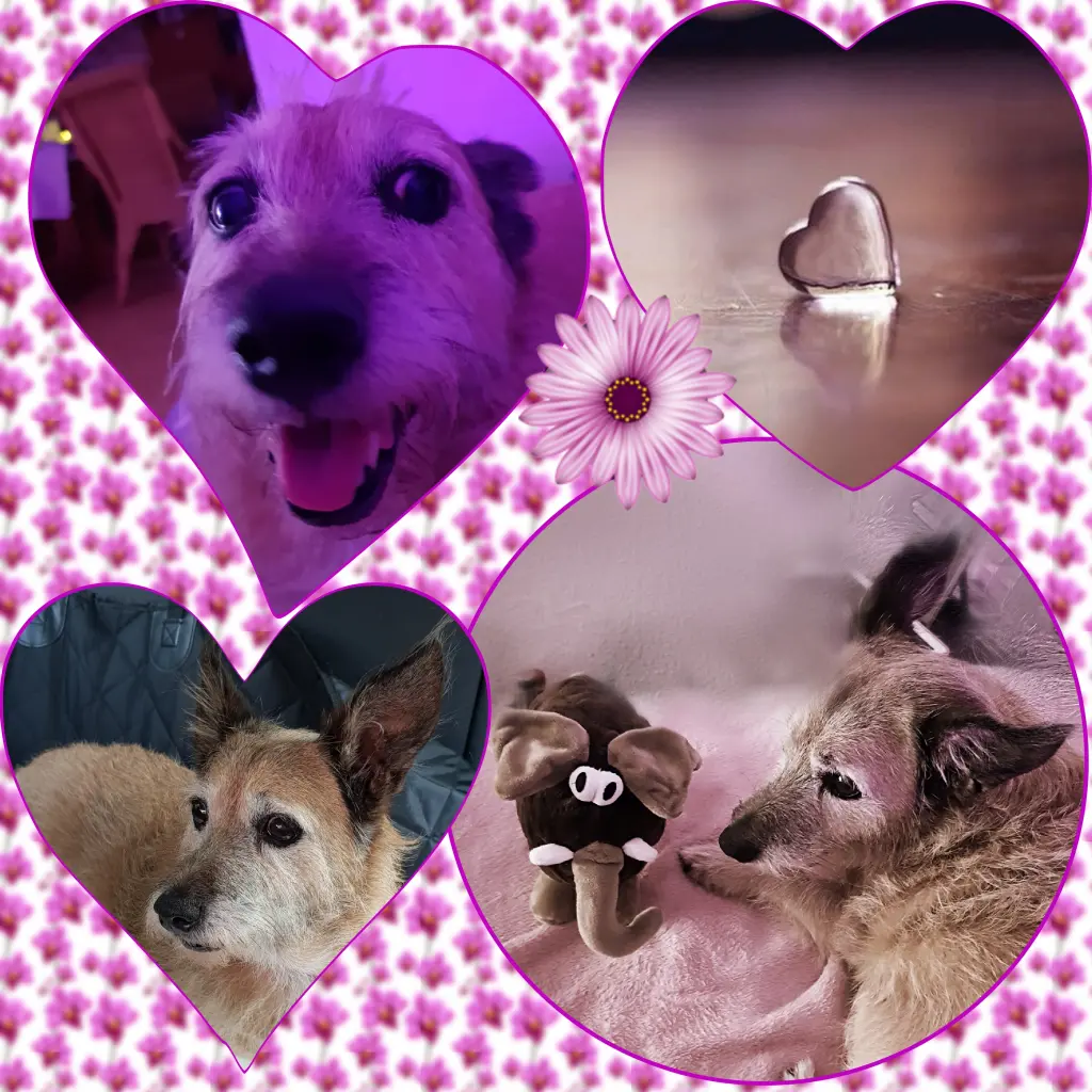 Image from Nelly