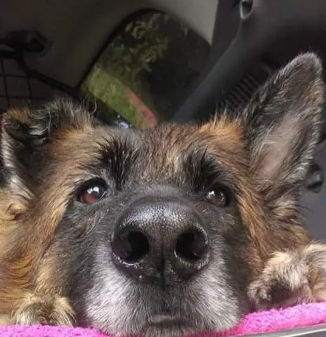 Andachtsbild von Unbekannt