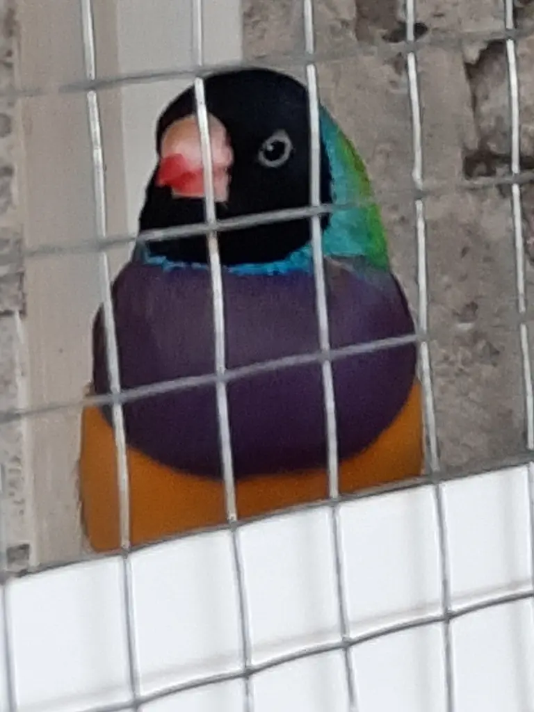 Condolence image of Unbekannt