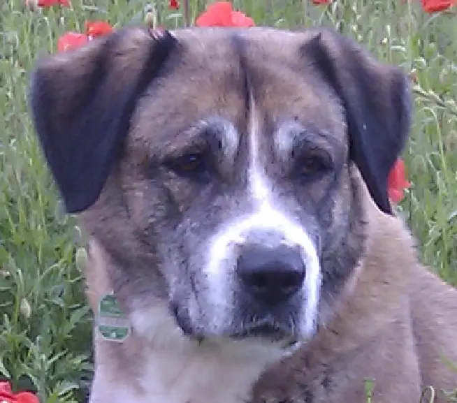 Bild von Bonnie