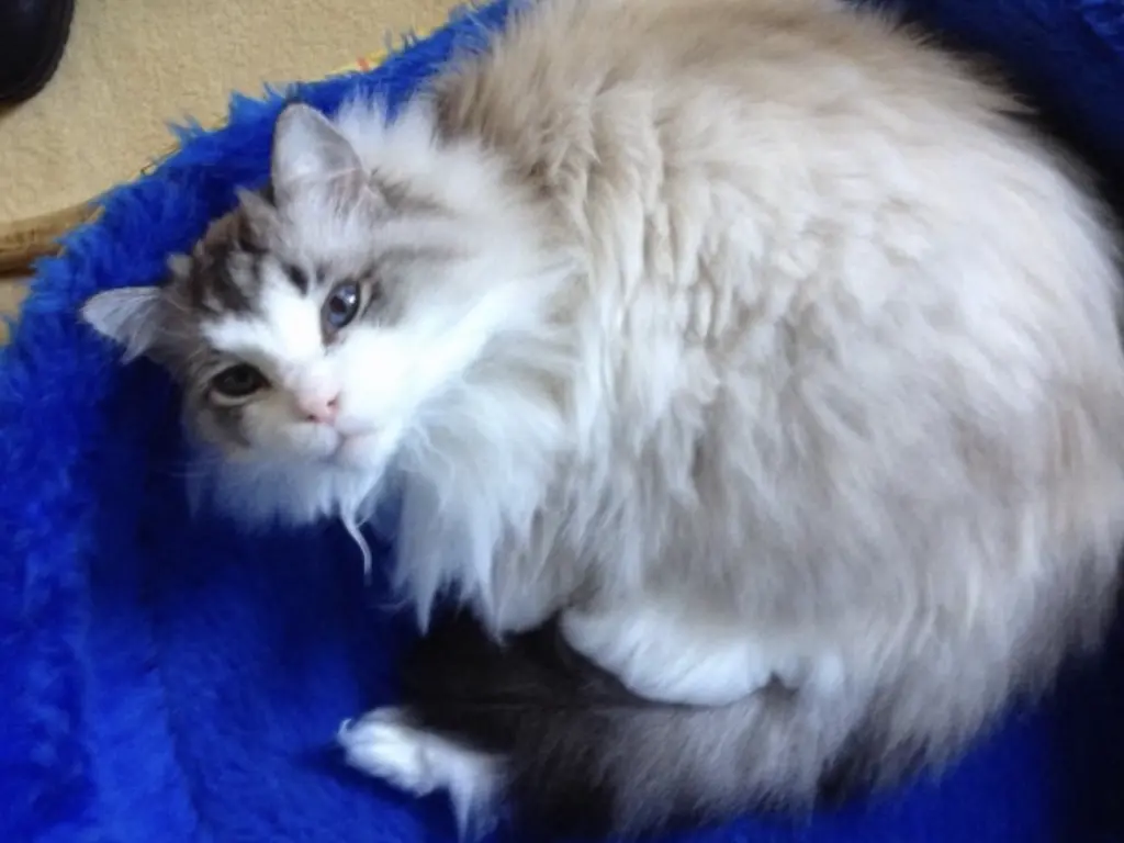 Condolence image of Sabine mit Pretty