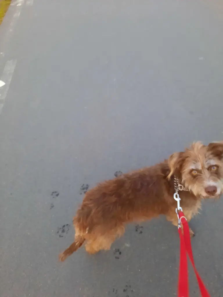 Condolence image of Unbekannt