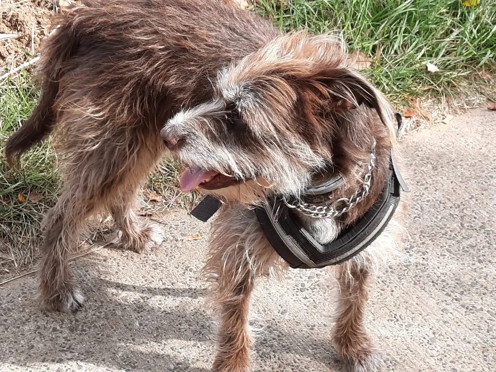 Condolence image of Unbekannt