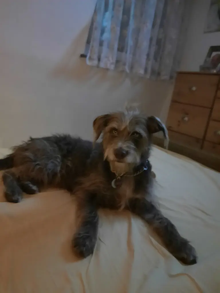 Condolence image of Christina