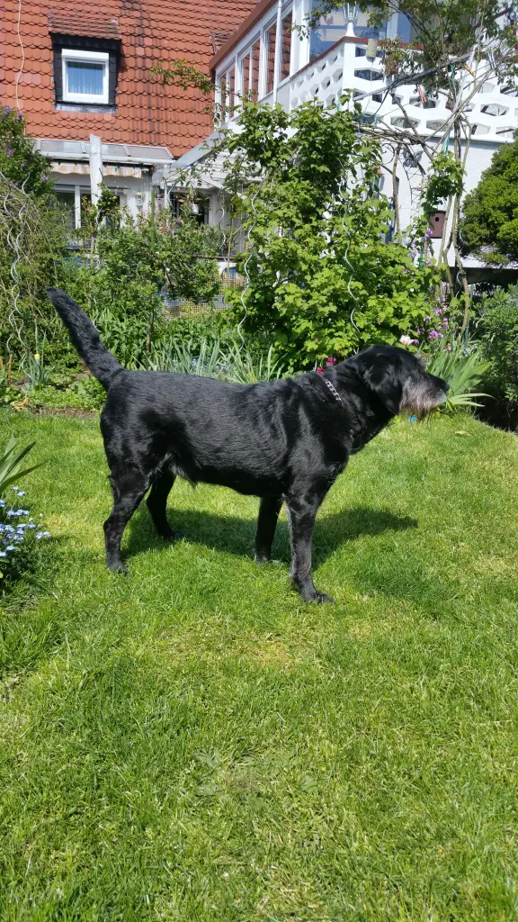 Image from Dorle