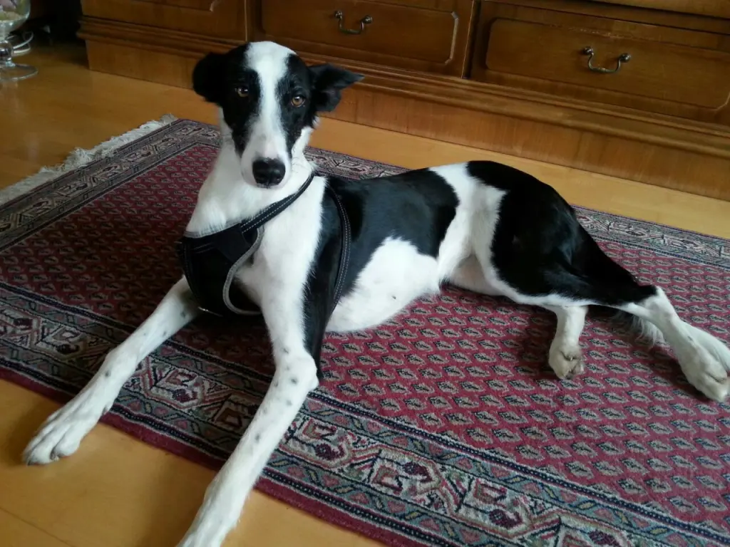 Image from Luise