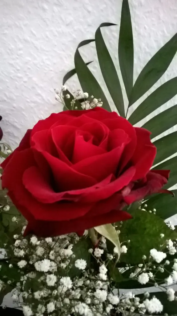 Image from Acru