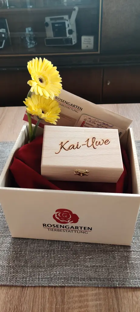Image from Kai-Uwe
