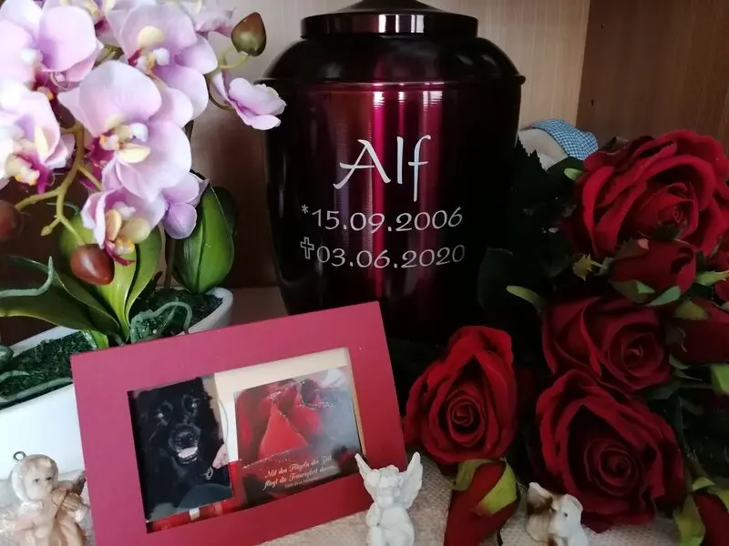 Condolence image of Für Alf ❤️