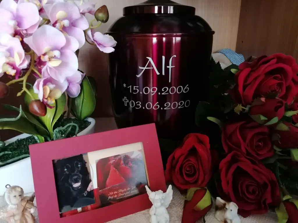 Condolence image of Andrea