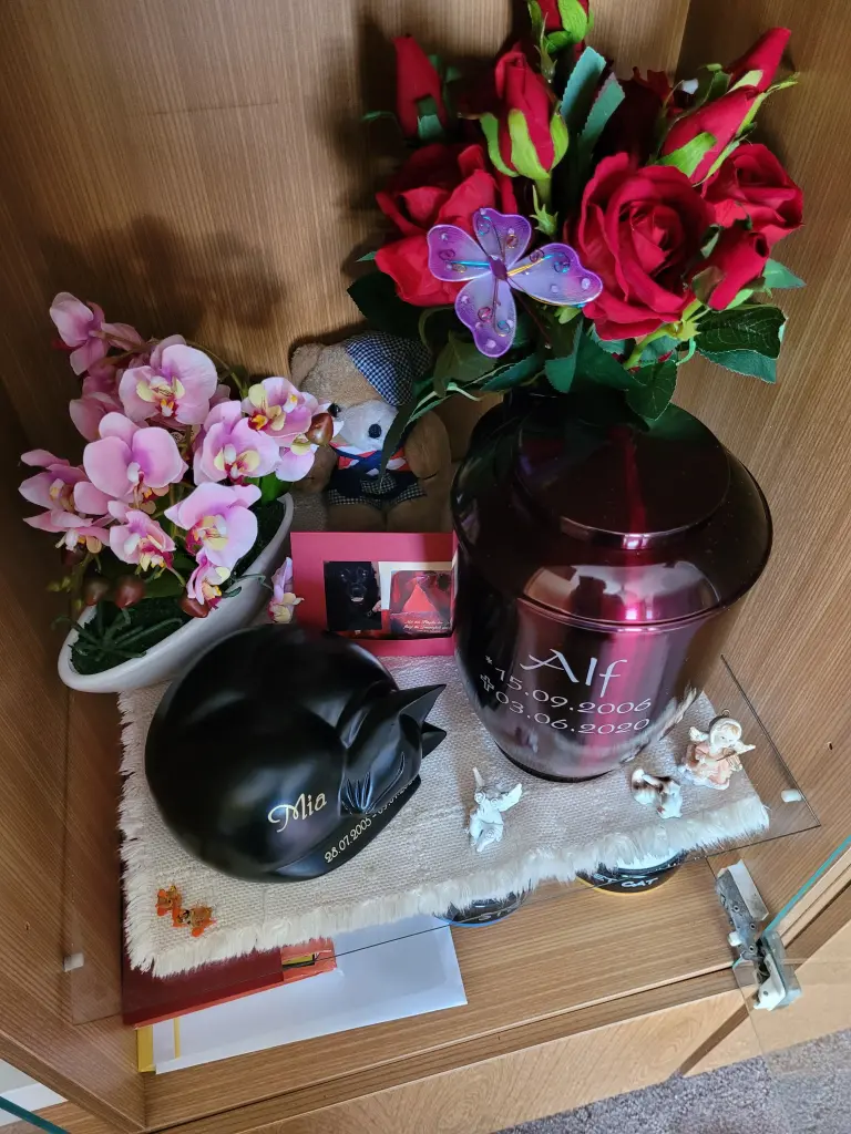 Condolence image of Für immer im ❤️
