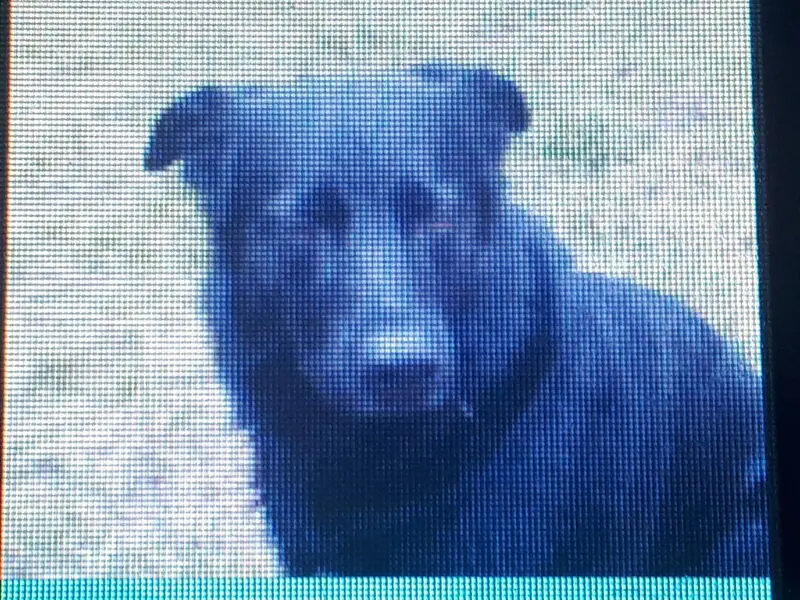Condolence image of Für Alf ❤️