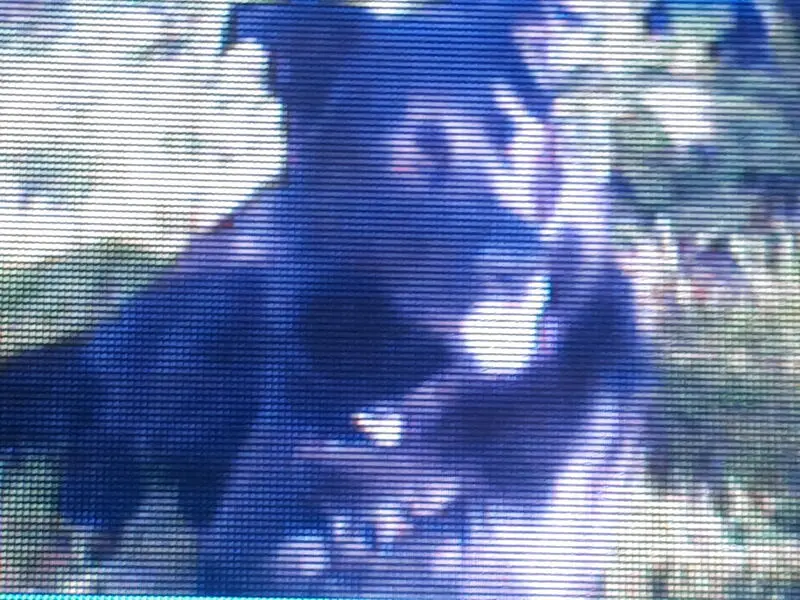 Condolence image of Andrea