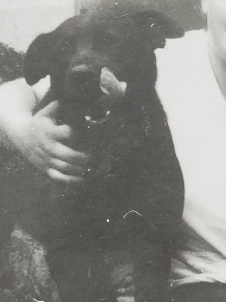 Condolence image of Andrea