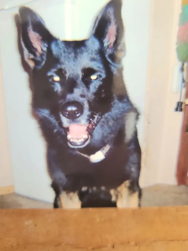 Condolence image of Andrea