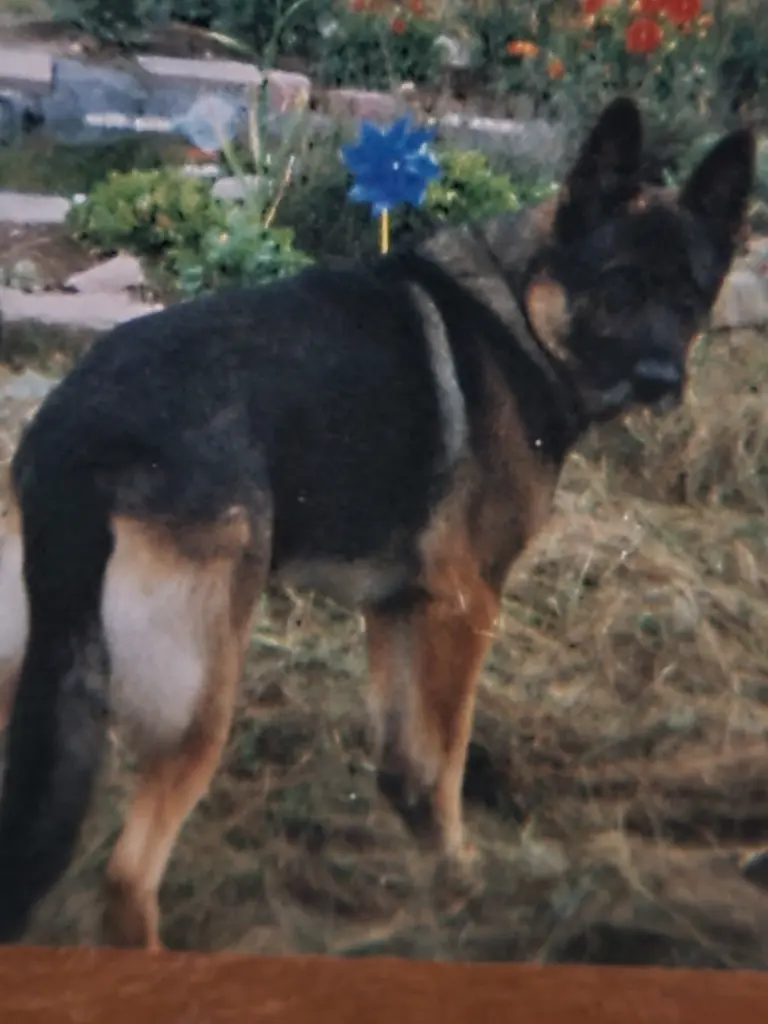 Condolence image of Andrea 