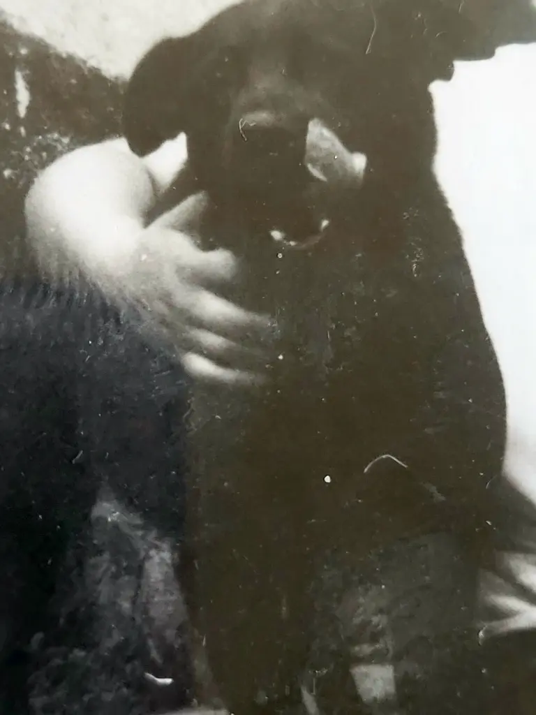 Condolence image of Andrea