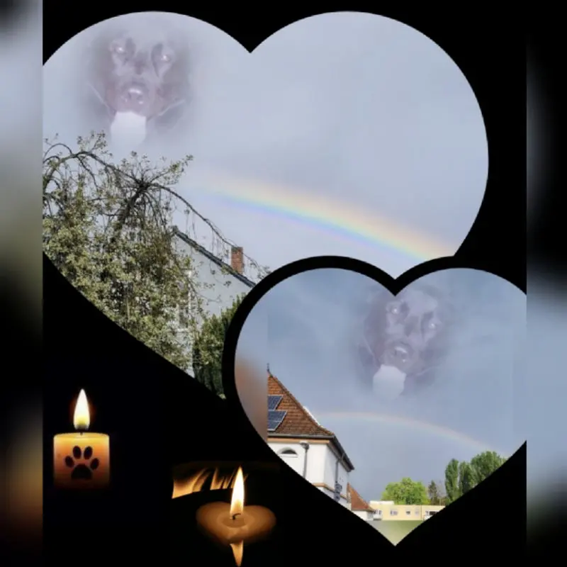 Condolence image of Mimi