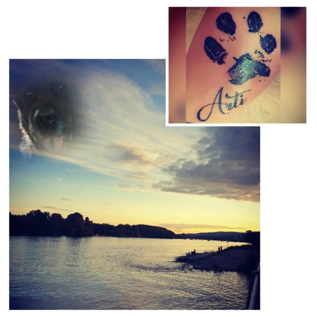 Image from Artus