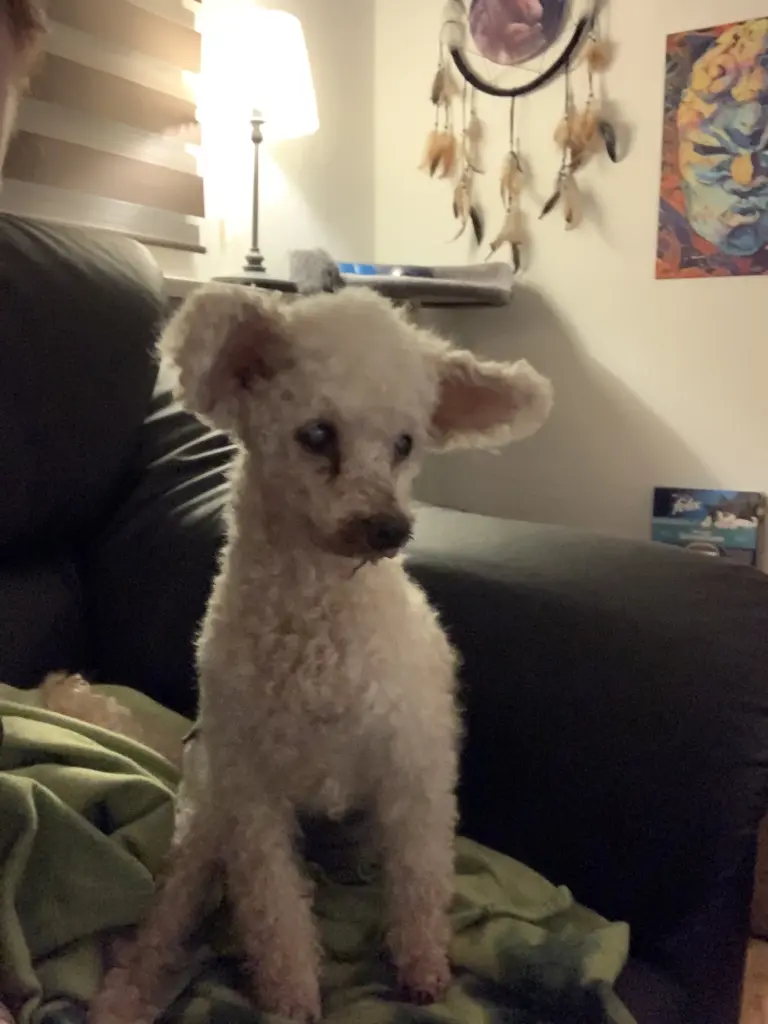 Image from Timmy