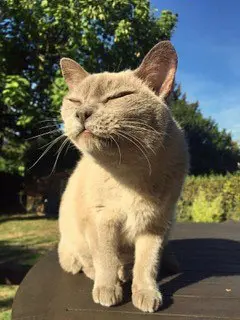 Image from Winnie
