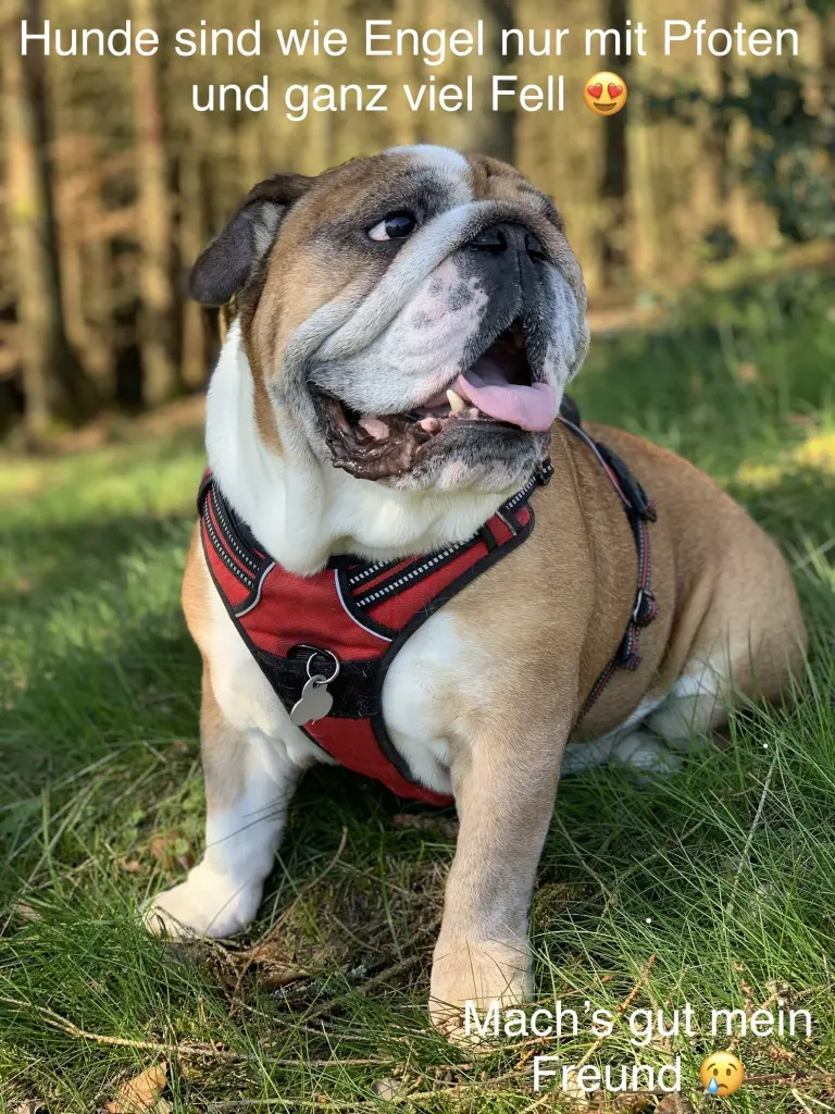Bild von Manni
