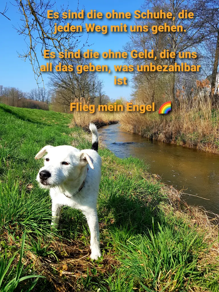 Bild von Vincent