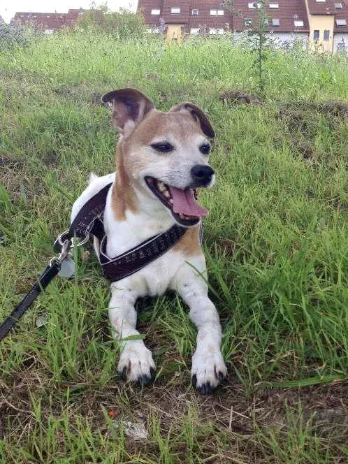 Bild von Freddie