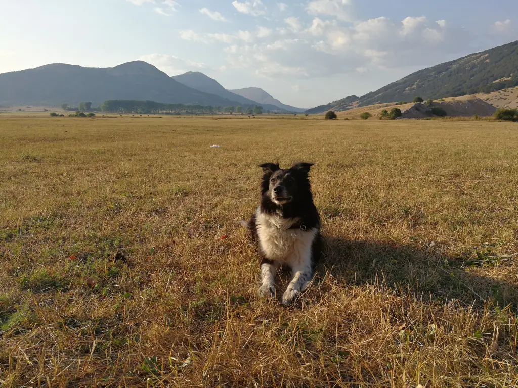 Image from Turbo