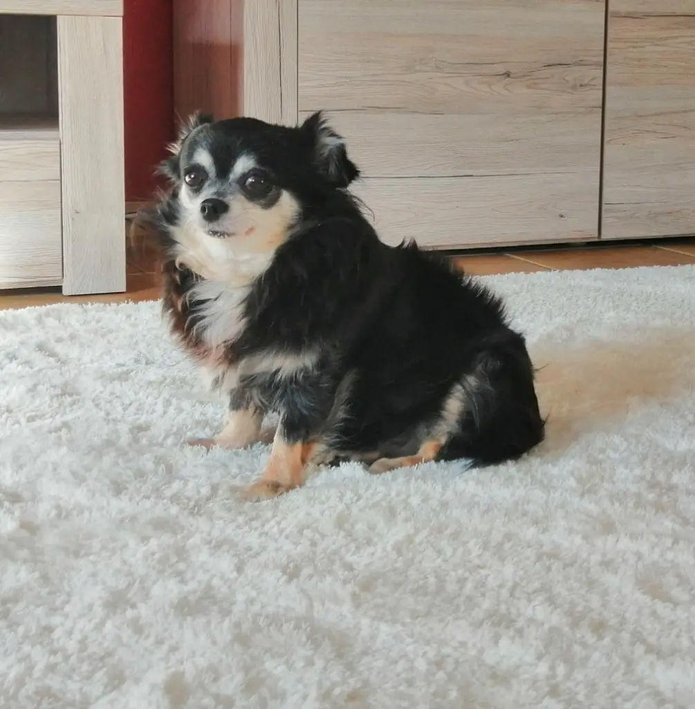 Andachtsbild von Gudula mit Laila tief im Herzen ❤️