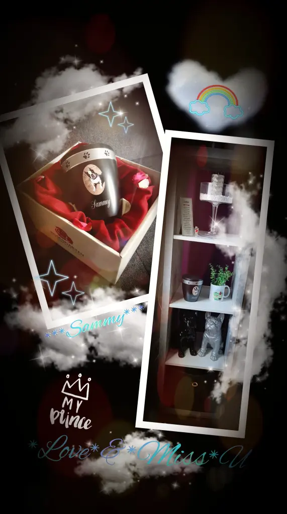 Bild von Sammy