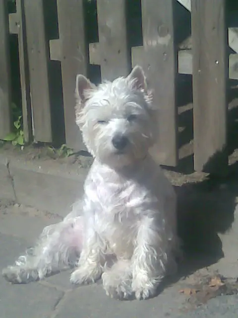 Image from Kessy