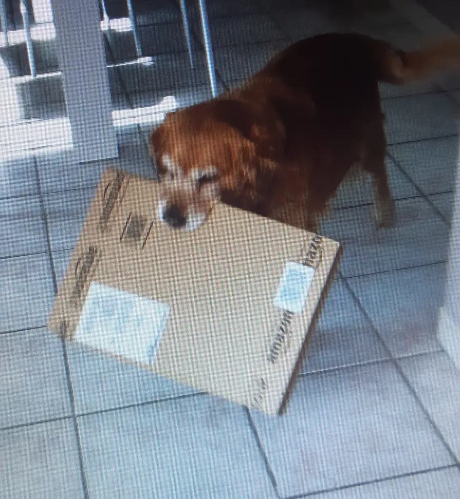 Andachtsbild von Ellen mit Lina ♥️