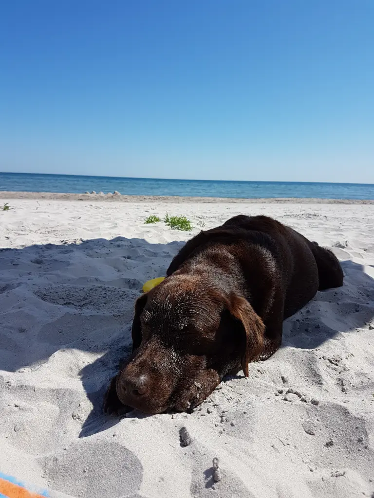 Andachtsbild von Silvana