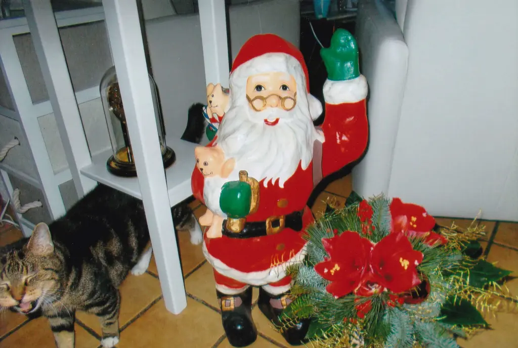 Image from Max