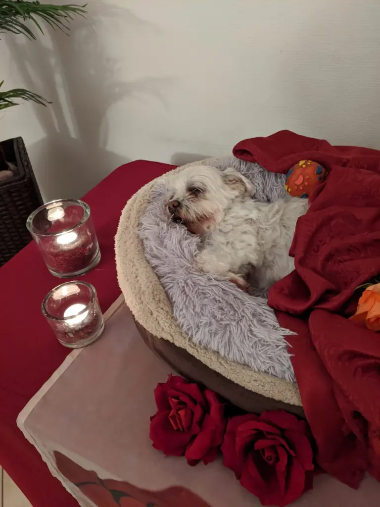 Image from Balou