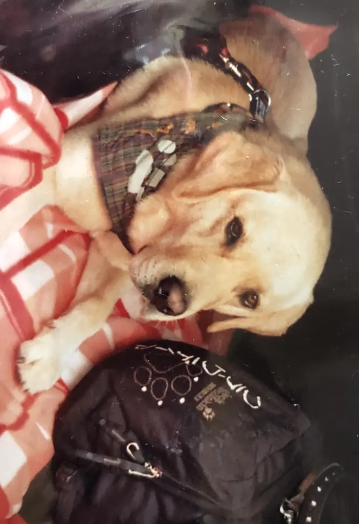 Condolence image of Claudia
