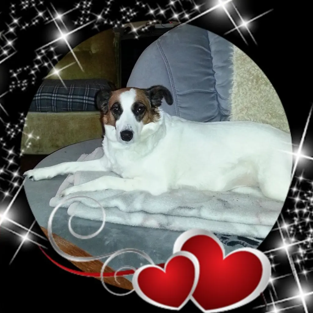 Condolence image of Renate