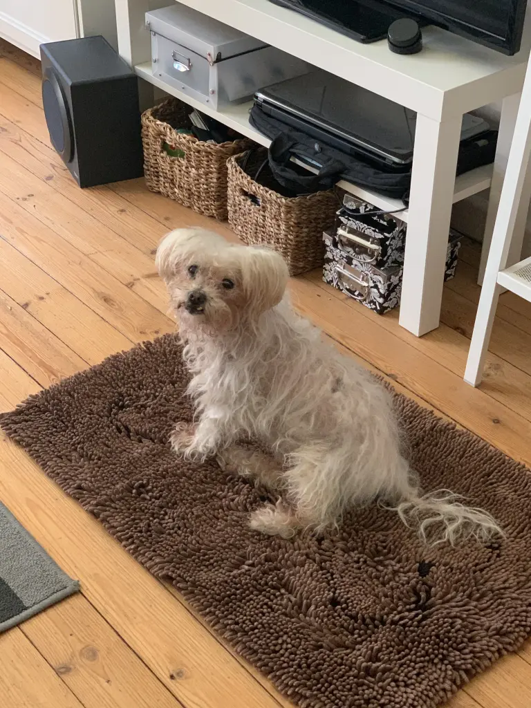 Andachtsbild von Manuela mit Zeytin im ❤️