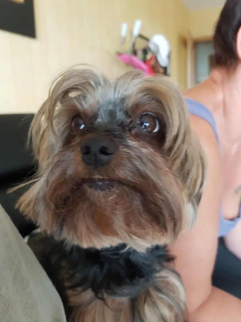 Bild von Leila