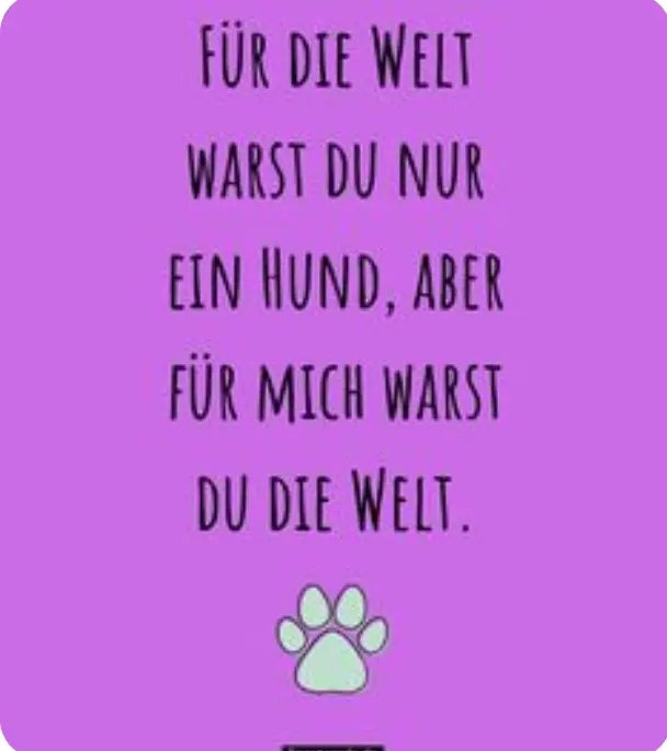 Image from Maja