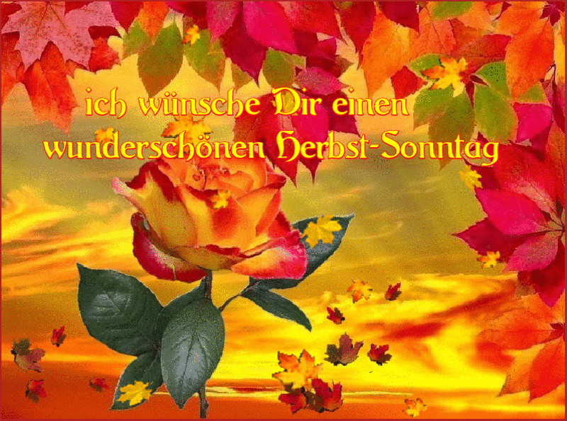 Condolence image of ❤️❤️❤️❤️❤️❤️❤️❤️❤️❤️❤️❤️❤️❤️