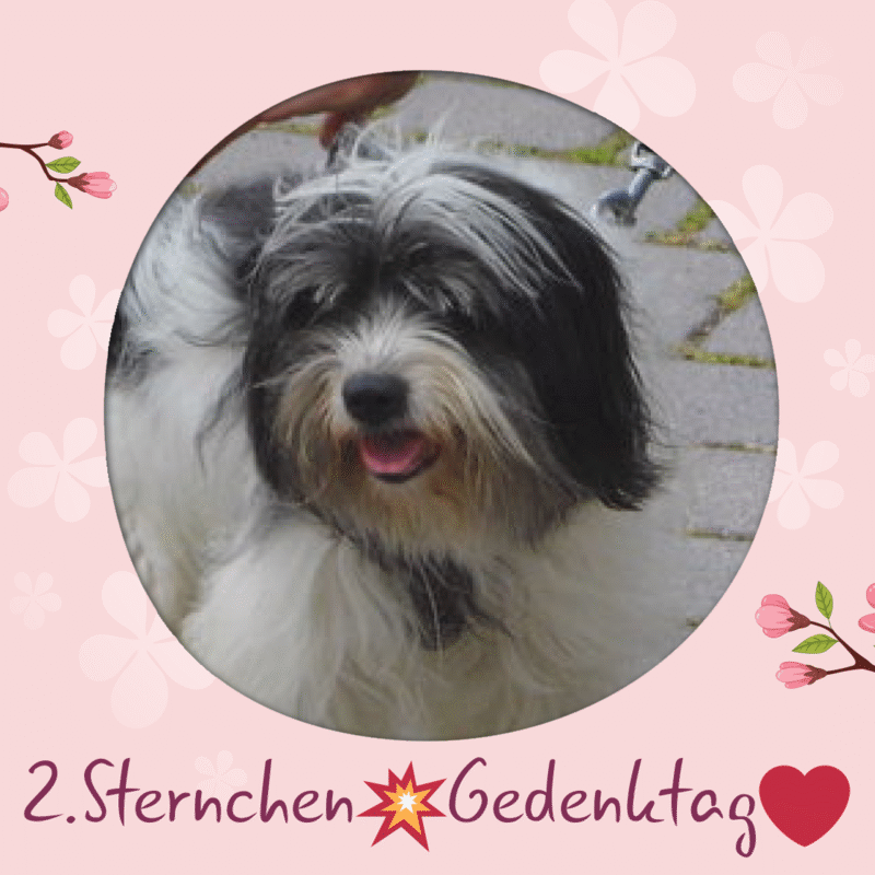 Andachtsbild von ❤️Lucky❤️