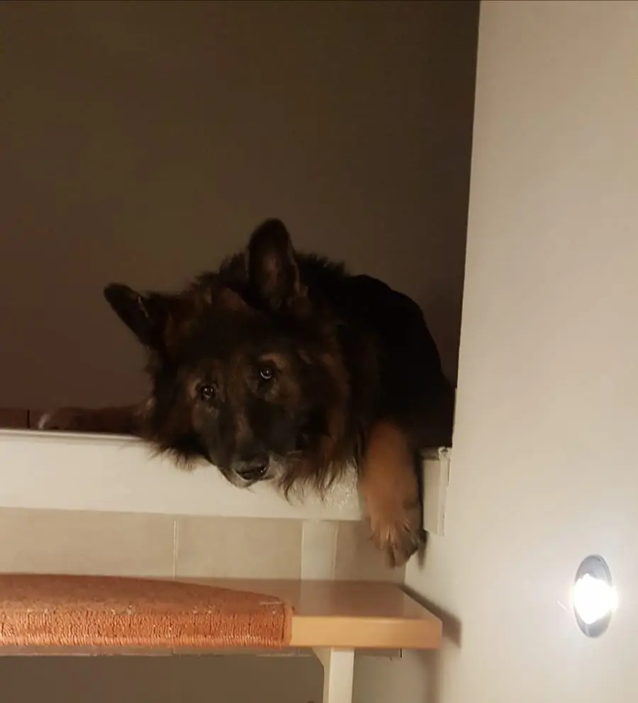 Andachtsbild von Birgit und Uwe