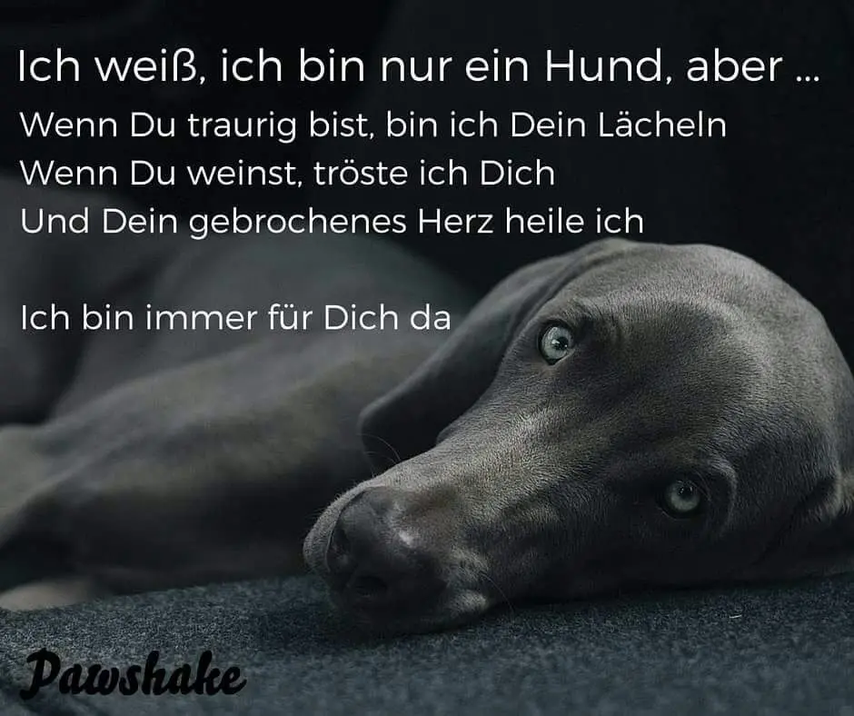 Andachtsbild von Unbekannt