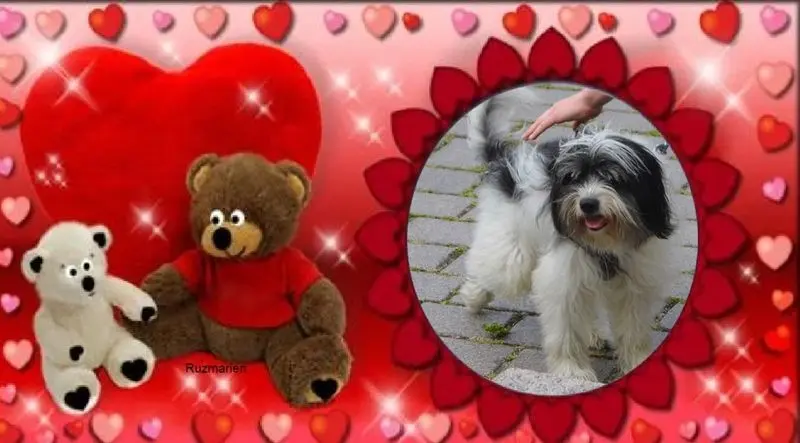 Andachtsbild von ❤️❤️❤️