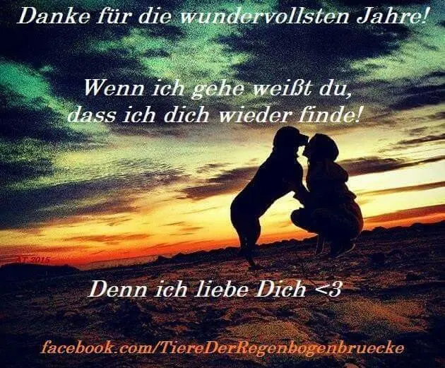 Andachtsbild von Für das kleine Sternchen Lucky♥️